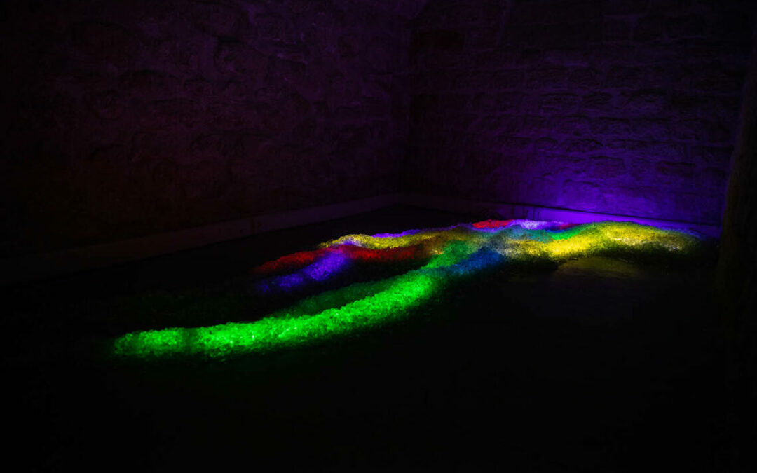 Exposition anniversaire « TWENTY five ELEMENTS », Espace Commines 2019. Crédit photo :  © Alice Lemarin