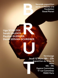 Expostion Brut. Espace Commines, 2020