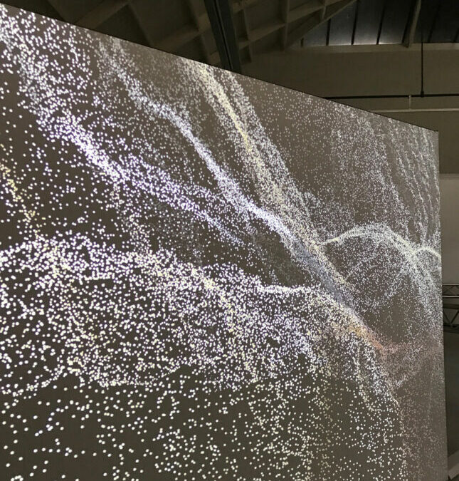 ECAL_1