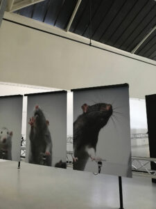 Automated photography. ECAL, exposition et symposium. Espace Commines, 2021