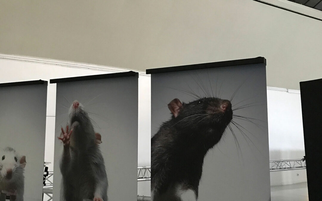 Automated photography. ECAL, exposition et symposium. Espace Commines, 2021