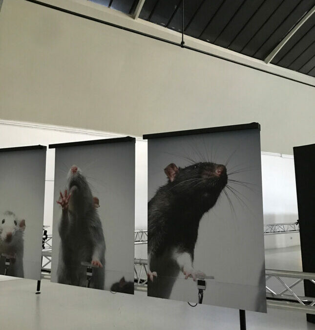 Automated photography. ECAL, exposition et symposium. Espace Commines, 2021