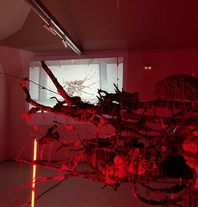 Jaguar meets Têtu – Creative Lab – Espace Commines