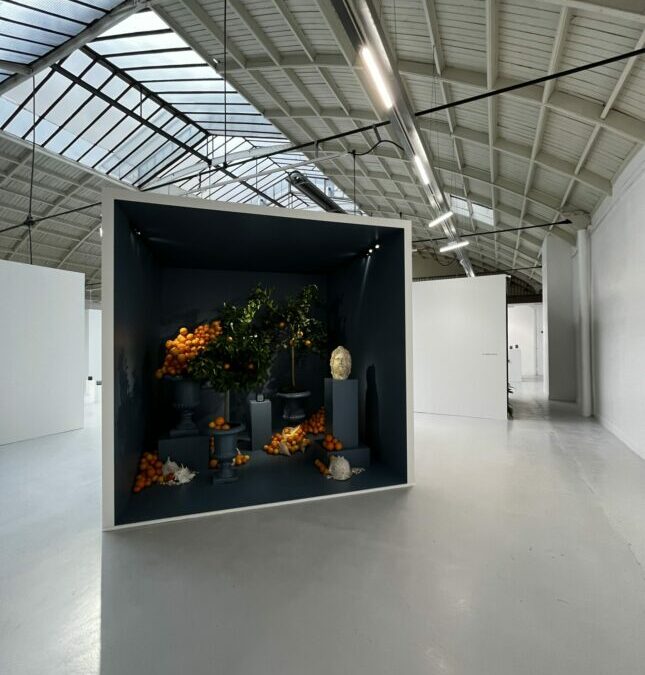 Scénographie Atelier Lum pour Dyptique – Espace Commines